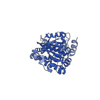 25931_7tjt_E_v1-2
Yeast ATP synthase F1 region State 1-3catalytic beta_tight open without exogenous ATP