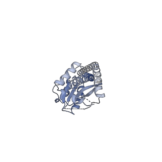 25931_7tjt_G_v1-1
Yeast ATP synthase F1 region State 1-3catalytic beta_tight open without exogenous ATP