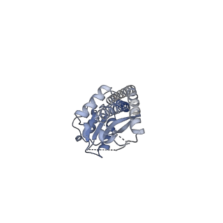 25931_7tjt_G_v1-2
Yeast ATP synthase F1 region State 1-3catalytic beta_tight open without exogenous ATP