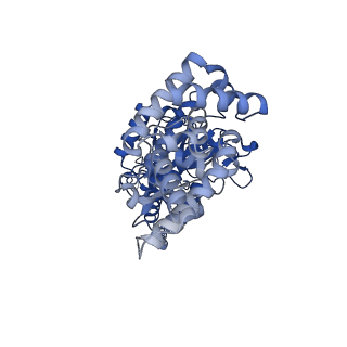 25932_7tju_A_v1-1
Yeast ATP synthase F1 region State 1-3binding beta_tight open without exogenous ATP