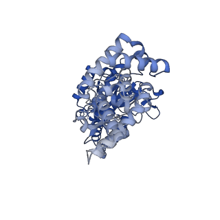 25932_7tju_A_v1-2
Yeast ATP synthase F1 region State 1-3binding beta_tight open without exogenous ATP