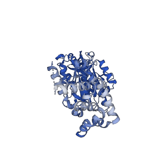 25932_7tju_B_v1-1
Yeast ATP synthase F1 region State 1-3binding beta_tight open without exogenous ATP