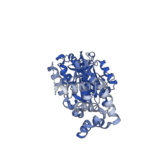 25932_7tju_B_v1-2
Yeast ATP synthase F1 region State 1-3binding beta_tight open without exogenous ATP