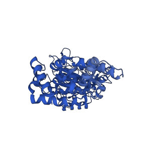 25932_7tju_C_v1-2
Yeast ATP synthase F1 region State 1-3binding beta_tight open without exogenous ATP