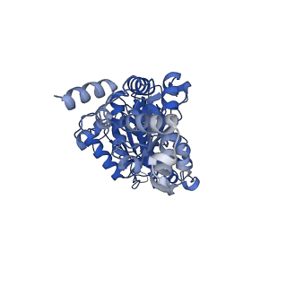 25932_7tju_D_v1-1
Yeast ATP synthase F1 region State 1-3binding beta_tight open without exogenous ATP
