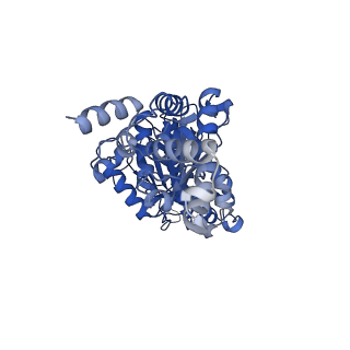 25932_7tju_D_v1-2
Yeast ATP synthase F1 region State 1-3binding beta_tight open without exogenous ATP