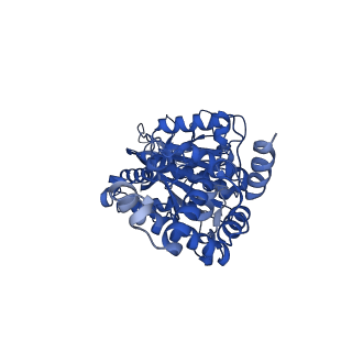 25932_7tju_E_v1-2
Yeast ATP synthase F1 region State 1-3binding beta_tight open without exogenous ATP