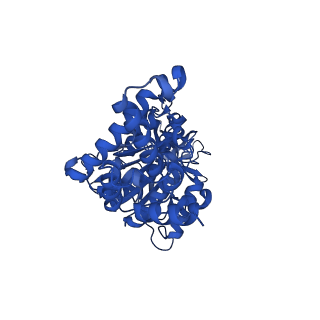 25932_7tju_F_v1-1
Yeast ATP synthase F1 region State 1-3binding beta_tight open without exogenous ATP