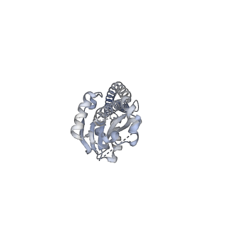 25932_7tju_G_v1-1
Yeast ATP synthase F1 region State 1-3binding beta_tight open without exogenous ATP