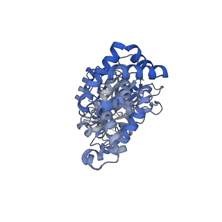 25933_7tjv_A_v1-1
Yeast ATP synthase F1 region State 1catalytic(a) with 10 mM ATP