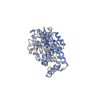 25933_7tjv_B_v1-1
Yeast ATP synthase F1 region State 1catalytic(a) with 10 mM ATP