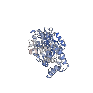 25933_7tjv_B_v1-2
Yeast ATP synthase F1 region State 1catalytic(a) with 10 mM ATP