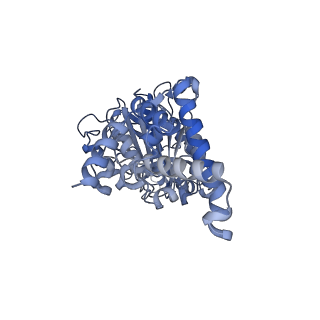25933_7tjv_D_v1-1
Yeast ATP synthase F1 region State 1catalytic(a) with 10 mM ATP