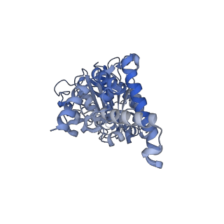 25933_7tjv_D_v1-2
Yeast ATP synthase F1 region State 1catalytic(a) with 10 mM ATP