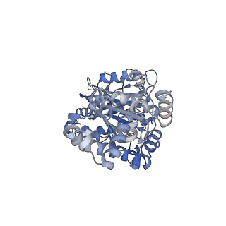 25933_7tjv_E_v1-1
Yeast ATP synthase F1 region State 1catalytic(a) with 10 mM ATP