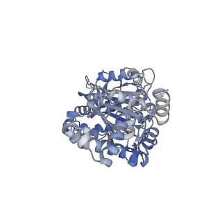 25933_7tjv_E_v1-2
Yeast ATP synthase F1 region State 1catalytic(a) with 10 mM ATP