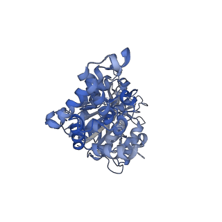 25933_7tjv_F_v1-1
Yeast ATP synthase F1 region State 1catalytic(a) with 10 mM ATP