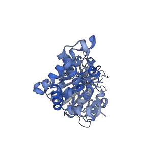 25933_7tjv_F_v1-2
Yeast ATP synthase F1 region State 1catalytic(a) with 10 mM ATP