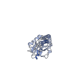 25933_7tjv_G_v1-1
Yeast ATP synthase F1 region State 1catalytic(a) with 10 mM ATP