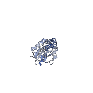 25933_7tjv_G_v1-2
Yeast ATP synthase F1 region State 1catalytic(a) with 10 mM ATP