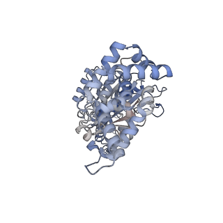 25934_7tjw_A_v1-2
Yeast ATP synthase F1 region State 1catalytic(e-h) with 10 mM ATP