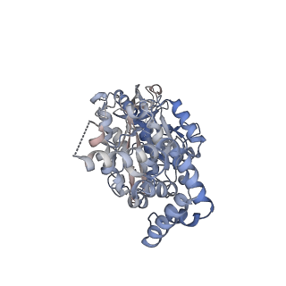 25934_7tjw_B_v1-1
Yeast ATP synthase F1 region State 1catalytic(e-h) with 10 mM ATP