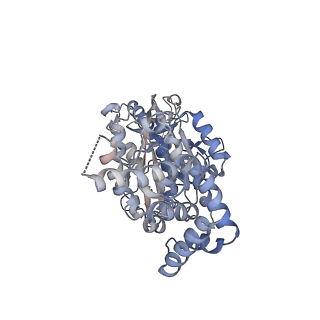 25934_7tjw_B_v1-2
Yeast ATP synthase F1 region State 1catalytic(e-h) with 10 mM ATP