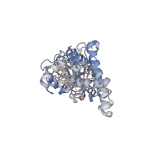25934_7tjw_D_v1-1
Yeast ATP synthase F1 region State 1catalytic(e-h) with 10 mM ATP