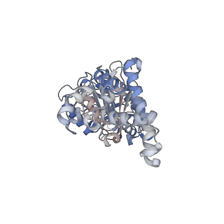 25934_7tjw_D_v1-2
Yeast ATP synthase F1 region State 1catalytic(e-h) with 10 mM ATP