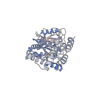 25934_7tjw_E_v1-1
Yeast ATP synthase F1 region State 1catalytic(e-h) with 10 mM ATP