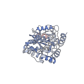 25934_7tjw_E_v1-2
Yeast ATP synthase F1 region State 1catalytic(e-h) with 10 mM ATP