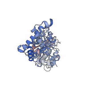 25934_7tjw_F_v1-2
Yeast ATP synthase F1 region State 1catalytic(e-h) with 10 mM ATP