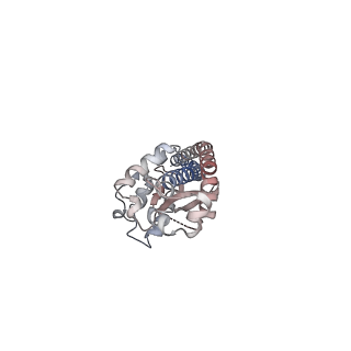 25934_7tjw_G_v1-1
Yeast ATP synthase F1 region State 1catalytic(e-h) with 10 mM ATP