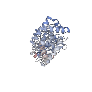 25939_7tjx_A_v1-2
Yeast ATP synthase F1 region State 1binding(a-d) with 10 mM ATP