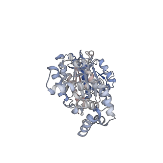 25939_7tjx_B_v1-1
Yeast ATP synthase F1 region State 1binding(a-d) with 10 mM ATP