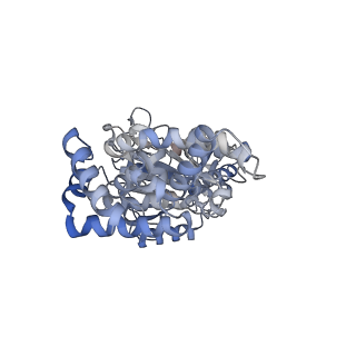 25939_7tjx_C_v1-1
Yeast ATP synthase F1 region State 1binding(a-d) with 10 mM ATP