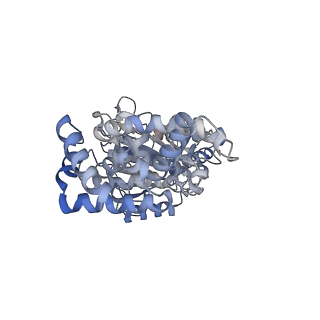 25939_7tjx_C_v1-2
Yeast ATP synthase F1 region State 1binding(a-d) with 10 mM ATP