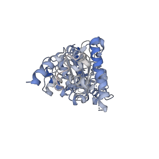 25939_7tjx_D_v1-1
Yeast ATP synthase F1 region State 1binding(a-d) with 10 mM ATP