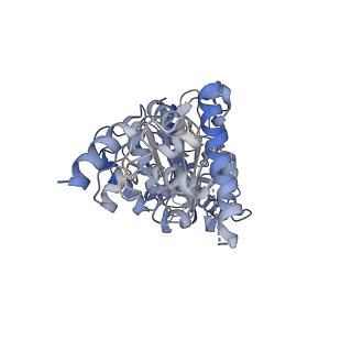 25939_7tjx_D_v1-2
Yeast ATP synthase F1 region State 1binding(a-d) with 10 mM ATP