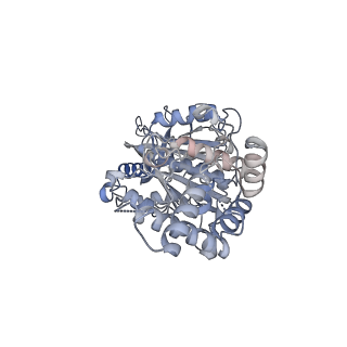 25939_7tjx_E_v1-2
Yeast ATP synthase F1 region State 1binding(a-d) with 10 mM ATP