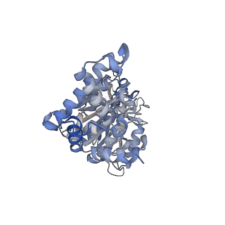 25939_7tjx_F_v1-1
Yeast ATP synthase F1 region State 1binding(a-d) with 10 mM ATP