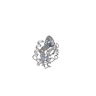 25939_7tjx_G_v1-1
Yeast ATP synthase F1 region State 1binding(a-d) with 10 mM ATP