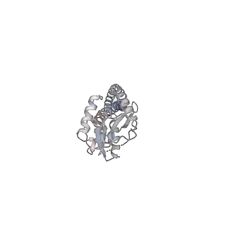 25939_7tjx_G_v1-2
Yeast ATP synthase F1 region State 1binding(a-d) with 10 mM ATP