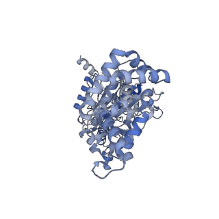 25946_7tjy_A_v1-1
Yeast ATP synthase State 1catalytic(a) without exogenous ATP backbone model