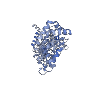 25946_7tjy_A_v1-2
Yeast ATP synthase State 1catalytic(a) without exogenous ATP backbone model