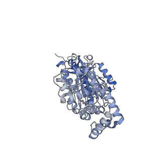 25946_7tjy_B_v1-1
Yeast ATP synthase State 1catalytic(a) without exogenous ATP backbone model