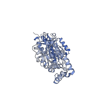 25946_7tjy_B_v1-2
Yeast ATP synthase State 1catalytic(a) without exogenous ATP backbone model