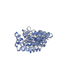 25946_7tjy_C_v1-1
Yeast ATP synthase State 1catalytic(a) without exogenous ATP backbone model