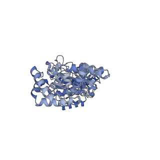 25946_7tjy_C_v1-2
Yeast ATP synthase State 1catalytic(a) without exogenous ATP backbone model