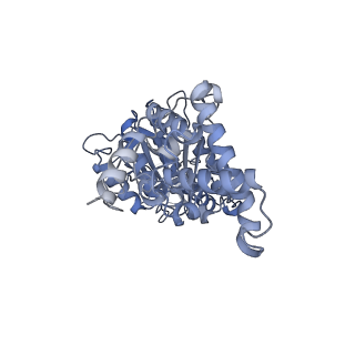 25946_7tjy_D_v1-1
Yeast ATP synthase State 1catalytic(a) without exogenous ATP backbone model